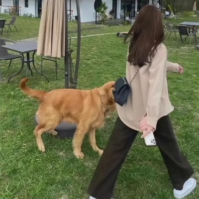 口碑精选